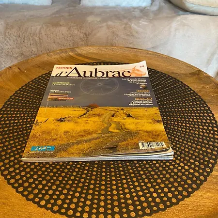 Chaleureux Et Fonctionnel * Laguiole