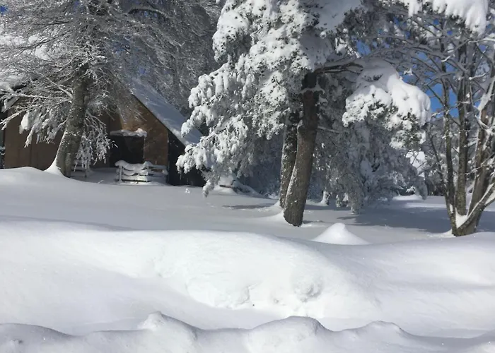 Daire Chaleureux Et Fonctionnel *