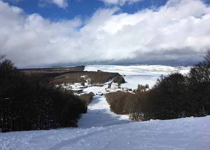 Chaleureux Et Fonctionnel