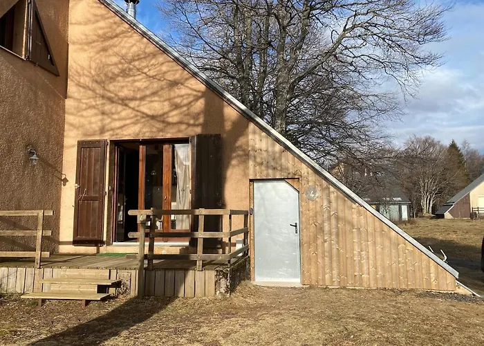 Daire Chaleureux Et Fonctionnel