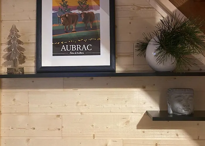 Chaleureux Et Fonctionnel Laguiole