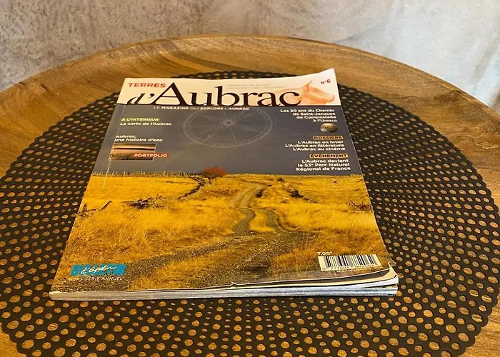 Chaleureux Et Fonctionnel * Laguiole